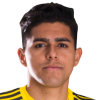 Luis Palma